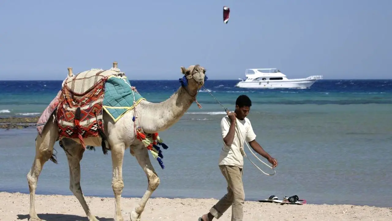 الفندق إمبريال شمس أبو سوما - سفاجا